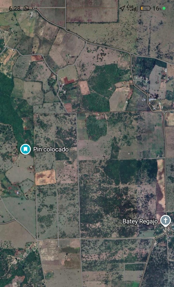 10 Hectáreas de Tierra — foto 4