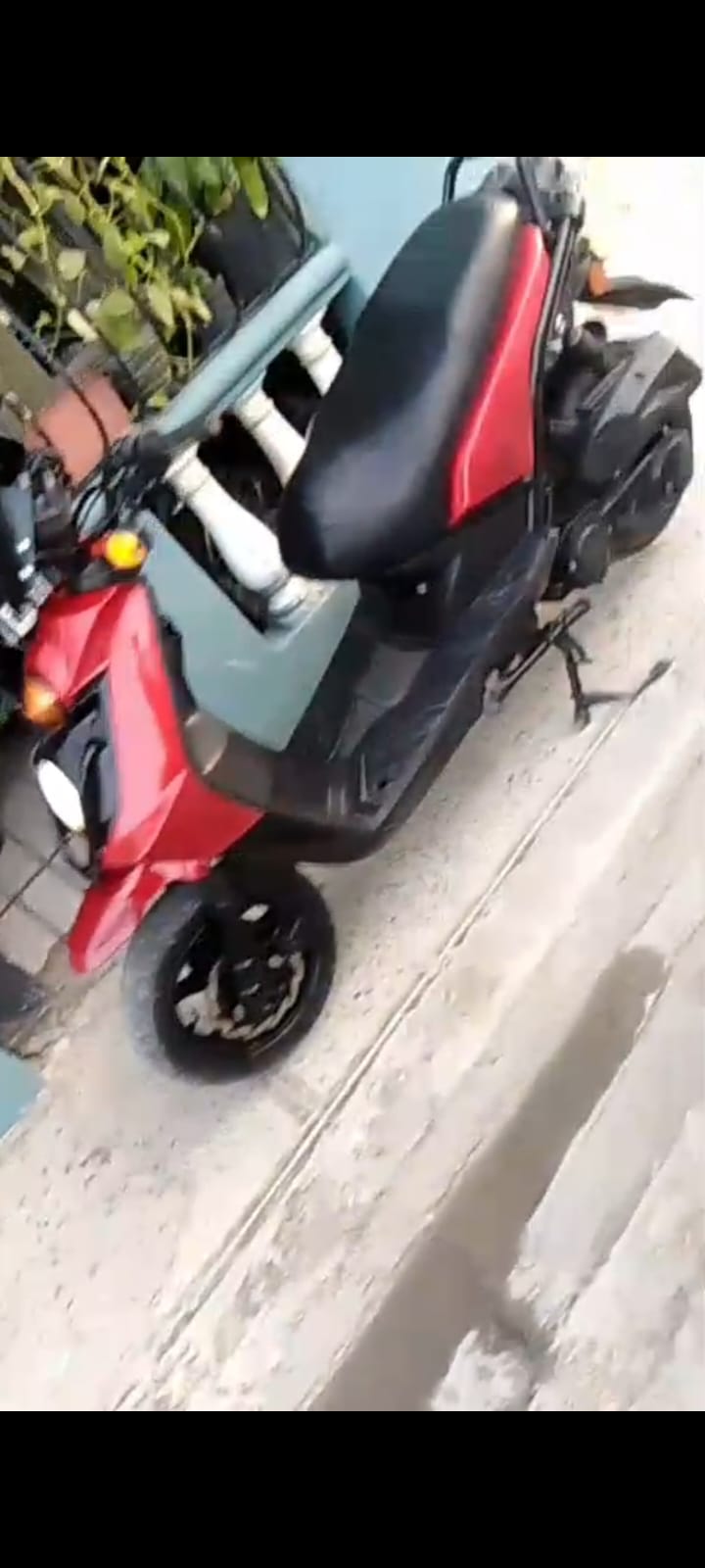 Pasóla loncing Lx175t